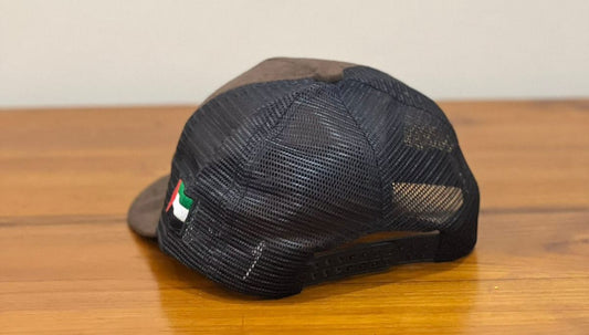 313 BROWN NET CAP